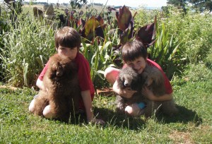 El'voer Ms Understood and El'voer My Way 2009